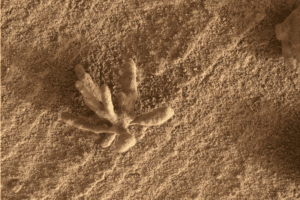 🪨 Mars Shows Evidence Of A Habitable Past -September 2025